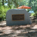 Heritage Day Festival 2025